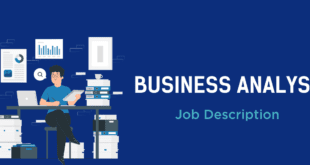 Business analyst job description | 2024 Career Guide